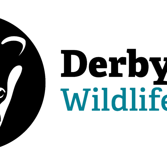 Menu image for Derbyshire Wildlife Trust seeks community groups to work with on flood management and woodland creation
